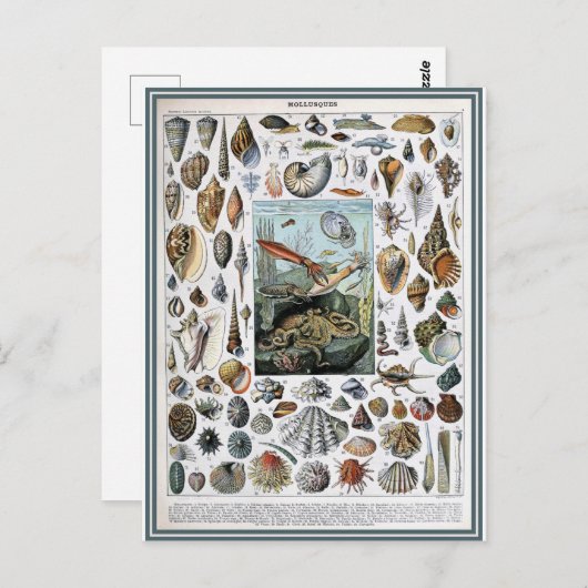 Illustrationswörterbücher Postkarte (Vorne/Hinten)