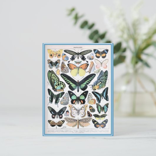 Illustrationswörterbücher Postkarte (Stehend Vorderseite)