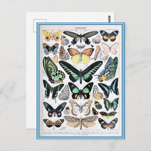 Illustrationswörterbücher Postkarte (Vorne/Hinten)