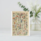 Illustrationswörterbuchflöhe Postkarte (Stehend Vorderseite)