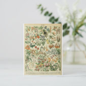 Illustrationswörterbuchflöhe Postkarte (Stehend Vorderseite)