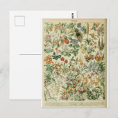 Illustrationswörterbuchflöhe Postkarte (Vorne/Hinten)