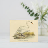 Illustrationszyklus Postkarte (Stehend Vorderseite)