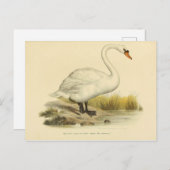 Illustrationszyklus Postkarte (Vorne/Hinten)