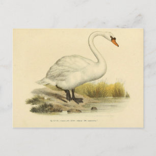 Illustrationszyklus Postkarte