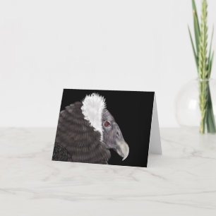 Illustriert Andean Condor Dankeskarte