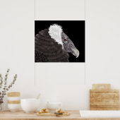 Illustriert Andean Condor Poster (Küche)