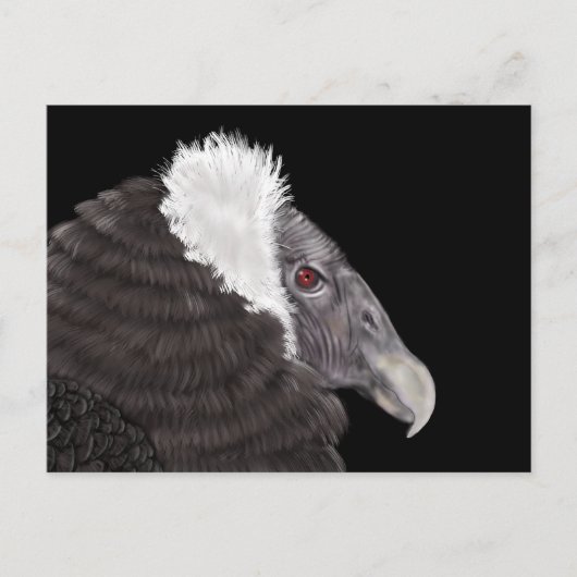 Illustriert Andean Condor Postkarte (Vorderseite)