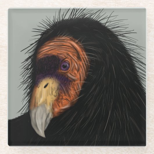 Illustriert California Condor Glasuntersetzer (Vorderseite)