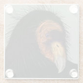 Illustriert California Condor Glasuntersetzer (Rückseite)