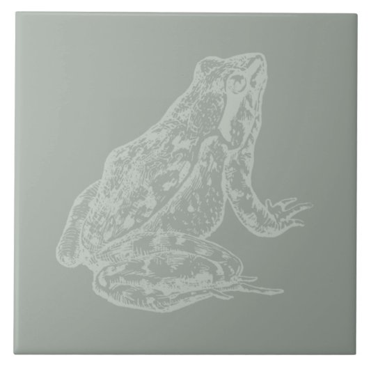 Illustriert Frog CUSTOM FARBEITER Kunst Fliese (Vorderseite)