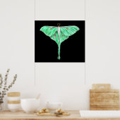 Illustriert Green Lunar Moth Poster (Küche)