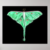 Illustriert Green Lunar Moth Poster (Vorne)