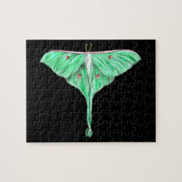 Illustriert Green Lunar Moth Puzzle