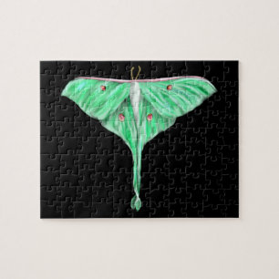 Illustriert Green Lunar Moth Puzzle