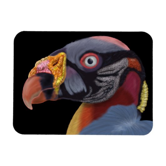 Illustriert King Vulture Magnet (Horizontal)