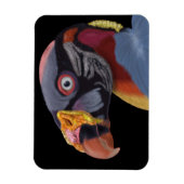 Illustriert King Vulture Magnet (Vertikal)