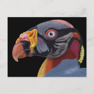 Illustriert King Vulture Postkarte
