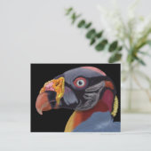Illustriert King Vulture Postkarte (Stehend Vorderseite)