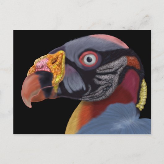 Illustriert King Vulture Postkarte (Vorderseite)