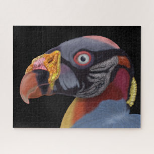 Illustriert King Vulture Puzzle