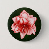 Illustriert-rosa-weiße Amaryllis Button (Vorderseite)