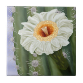 Illustriert Saguaro Cactus White Blume Fliese
