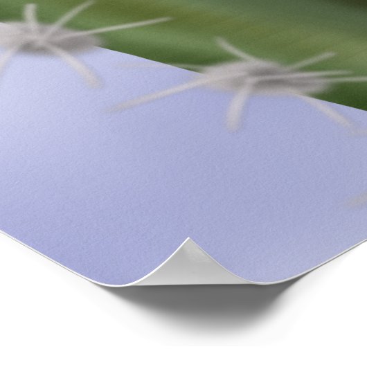 Illustriert Saguaro Cactus White Blume Poster (Ecke)