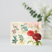 Illustrierte blühende Pflanze Postkarte (Stehend Vorderseite)