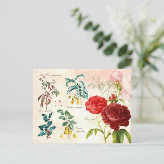 Illustrierte blühende Pflanze Postkarte (Stehend Vorderseite)