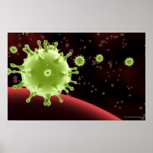 Illustrierte Darstellung des SARS-Coronavirus Poster (Vorne)