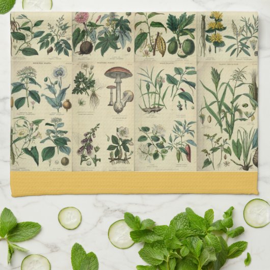 Illustrierte Flora Geschirrtuch (Gefaltet)