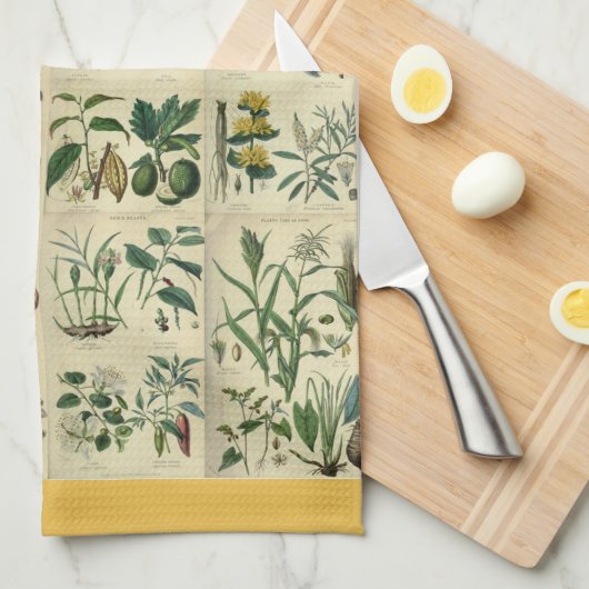 Illustrierte Flora Geschirrtuch (Viertel Falte)