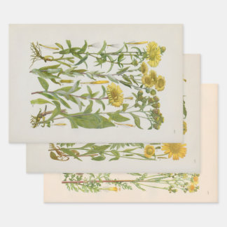 Illustrierte Flora von Mitteleuropa von Gustav Heg Geschenkpapier Set