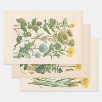 Illustrierte Flora von Mitteleuropa von Gustav Heg Geschenkpapier Set