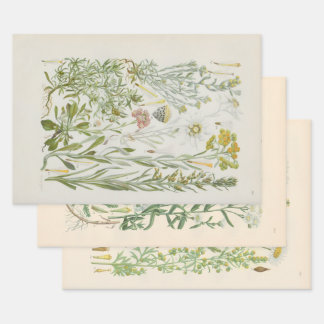 Illustrierte Flora von Mitteleuropa von Gustav Heg Geschenkpapier Set