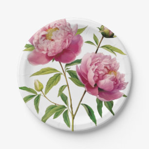 Illustrierte, Hübsche Rosa-Erdnüsse Preis senken Pappteller