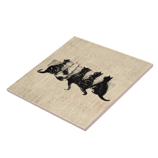 Illustrierte Kätzchen mit Tan Script Hintergrund Fliese (Seite)