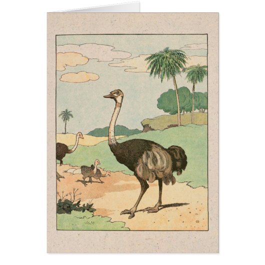 Illustrierte Notizkarte Ostrich Storykook (Vorne)