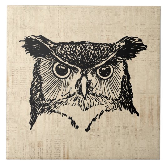Illustrierte Owl Art Fliese (Vorderseite)
