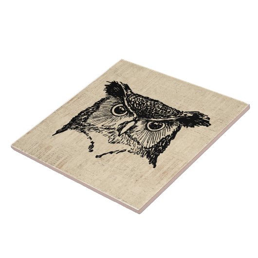 Illustrierte Owl Art Fliese (Seite)