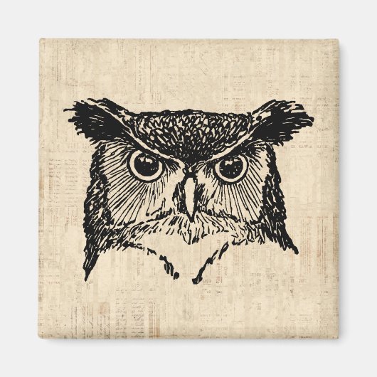 Illustrierte Owl Art Magnet (Vorne)