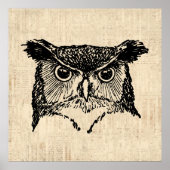 Illustrierte Owl Art Poster (Vorne)