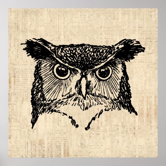 Illustrierte Owl Art Poster (Vorne)