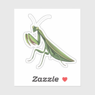 Illustrierte Praying Mantis Aufkleber