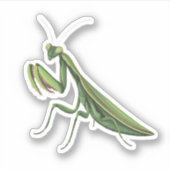 Illustrierte Praying Mantis Aufkleber (Vorderseite)
