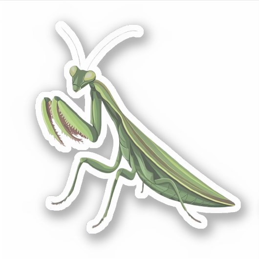 Illustrierte Praying Mantis Aufkleber (Vorderseite)