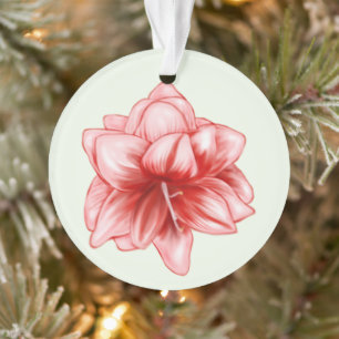 Illustrierte rosa und weiße Amaryllis Ornament