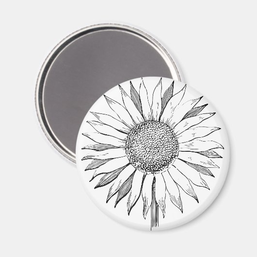 Illustrierte Sonnenblume Magnet (Vorderseite/Rückseite)