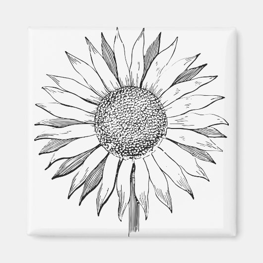 Illustrierte Sonnenblume Magnet (Vorne)